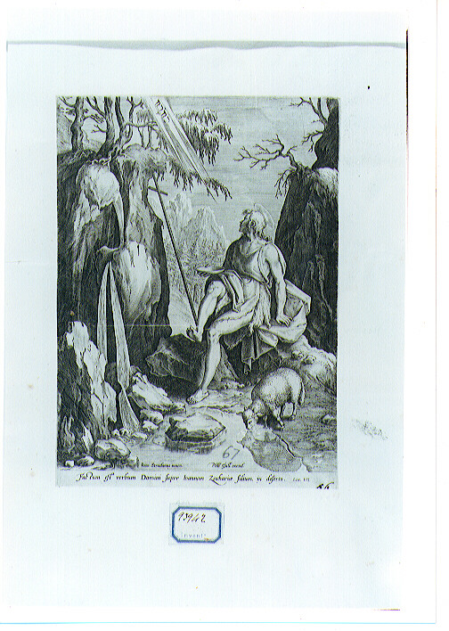 San Giovanni Battista nel deserto (stampa) di Galle Philip (CERCHIA), Van der Straet Jan detto Giovanni Stradano (ultimo quarto sec. XVI)