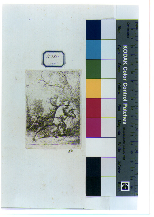 fuga in Egitto (stampa) di Van Rijn Rembrandt Harmenszoon (sec. XVII)
