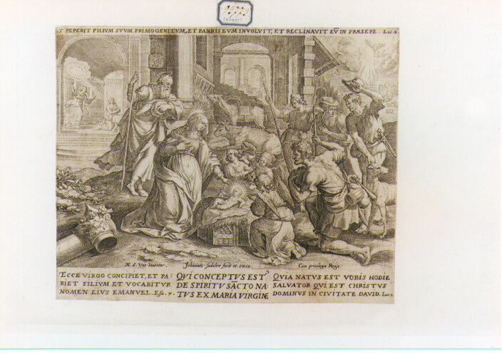 adorazione dei pastori (stampa) di Sadeler Jan il Vecchio (sec. XVI)