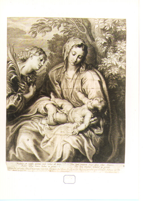 matrimonio mistico di Santa Caterina d'Alessandria (stampa) di Bolswert Schelte Adams, Van Dyck Anton (sec. XVII)