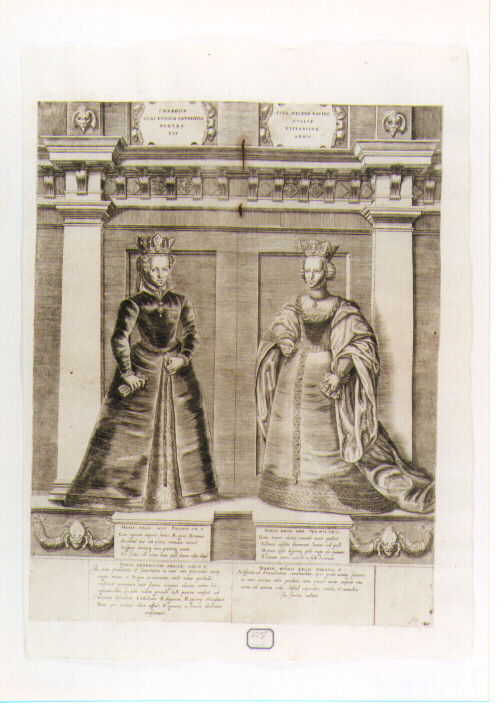 ritratto di Maria d'Inghilterra e di Maria di Portogallo (stampa) di Terzi Gian Francesco, Oselli Gaspare (sec. XVI)