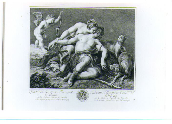 MORTE DI ADONE (stampa) di Turchi Alessandro, Beauvarlet Jacques Firmin, Bacciarelli Francesco (sec. XVIII)