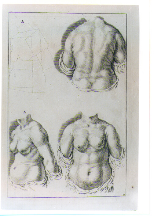 STUDIO DI BUSTO FEMMINILE (stampa) di De Lairesse Gèrard (CERCHIA) (sec. XVIII)