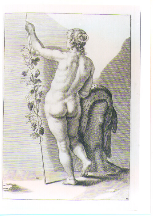 FIGURA FEMMINILE CON SERTO D'UVA E PELLE DI LEOPARDO (stampa) di De Lairesse Gèrard (CERCHIA) (sec. XVIII)