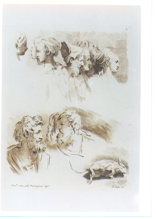 STUDI DI TESTE E ANIMALI (stampa a colori) di Mazzola Francesco detto Parmigianino, Bossi Benigno (sec. XVIII)