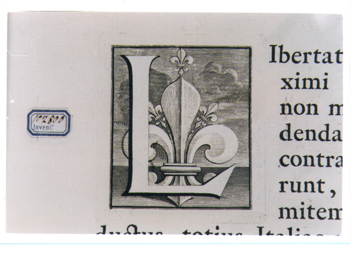 CAPOLETTERA L CON GIGLIO (stampa) di Van Audenaerde Robert (sec. XVIII)
