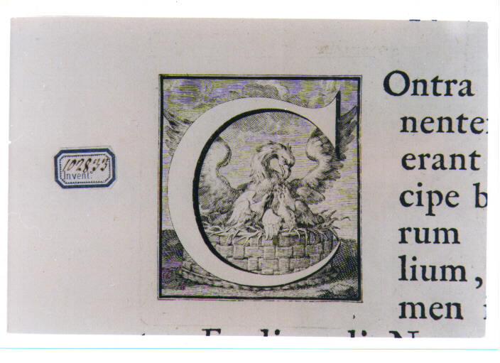 CAPOLETTERA C CON NIDO D'AQUILA (stampa) di Van Audenaerde Robert (sec. XVIII)