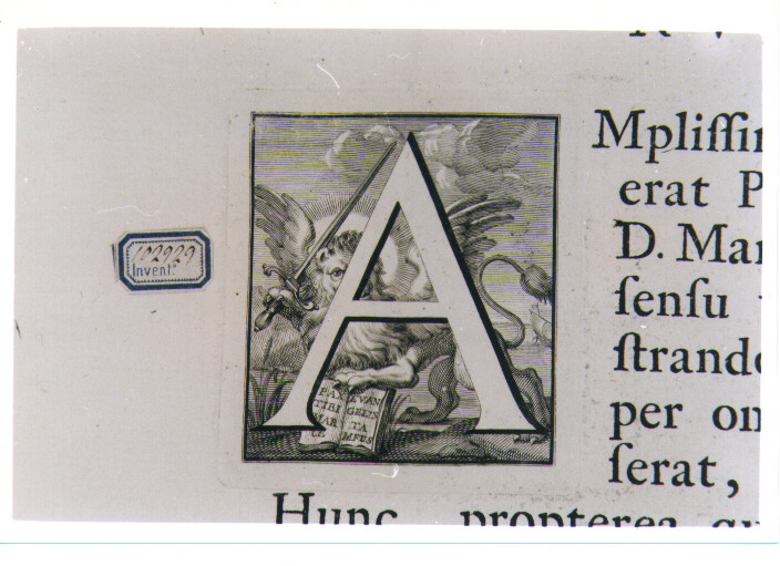 CAPOLETTERA A CON SIMBOLO DI SAN MARCO: LEONE (stampa) di Van Audenaerde Robert (sec. XVIII)