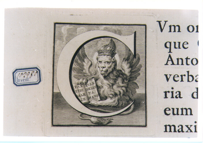 CAPOLETTERA C CON SIMBOLO DI SAN MARCO: LEONE (stampa) di Van Audenaerde Robert (sec. XVIII)