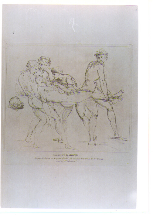 MORTE DI ADONE (stampa) di Sanzio Raffaello detto Raffaello, De Caylus Anne Claude Philippe (sec. XVIII)