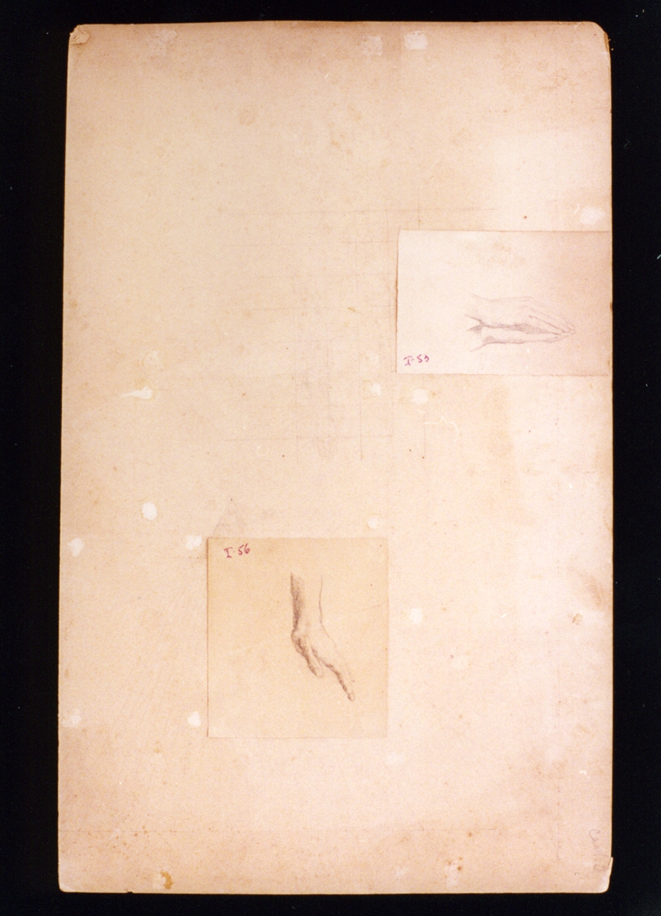 studi di anatomia (disegno) di Vetri Paolo (fine/inizio secc. XIX/ XX)