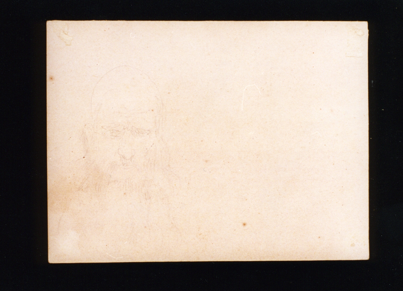 testa d'uomo barbuto (disegno) di Vetri Paolo (fine/inizio secc. XIX/ XX)