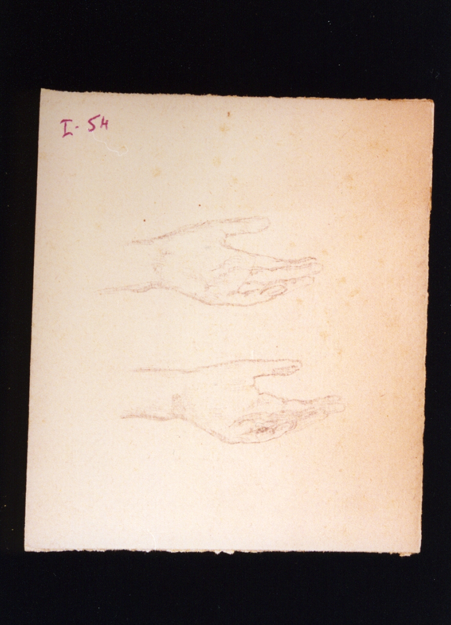 studi di mani (disegno) di Vetri Paolo (fine/inizio secc. XIX/ XX)
