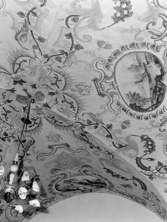 motivi decorativi floreali (soffitto dipinto) - ambito campano (sec. XVIII)