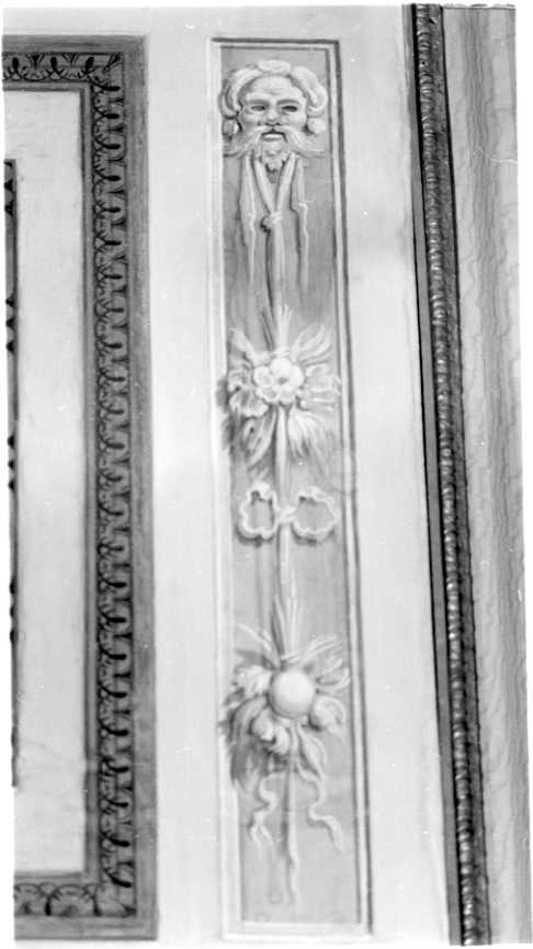 motivi decorativi (decorazione pittorica) di Fortini Agostino (sec. XVIII)