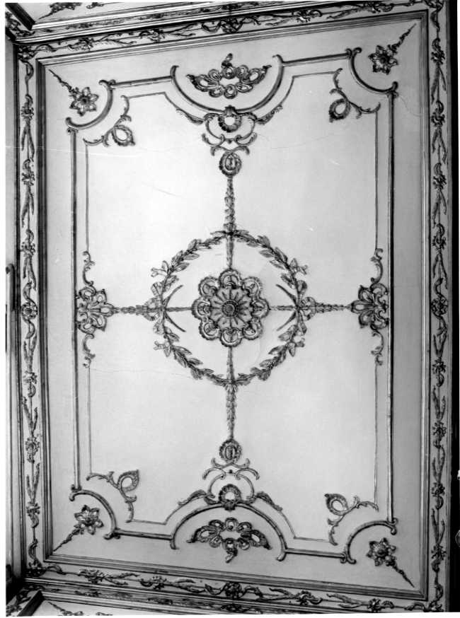 Motivi vegetali, Motivi Decorativi (dipinto, elemento d'insieme) di Fiore Gennaro (attribuito) (seconda metà sec. XVIII)