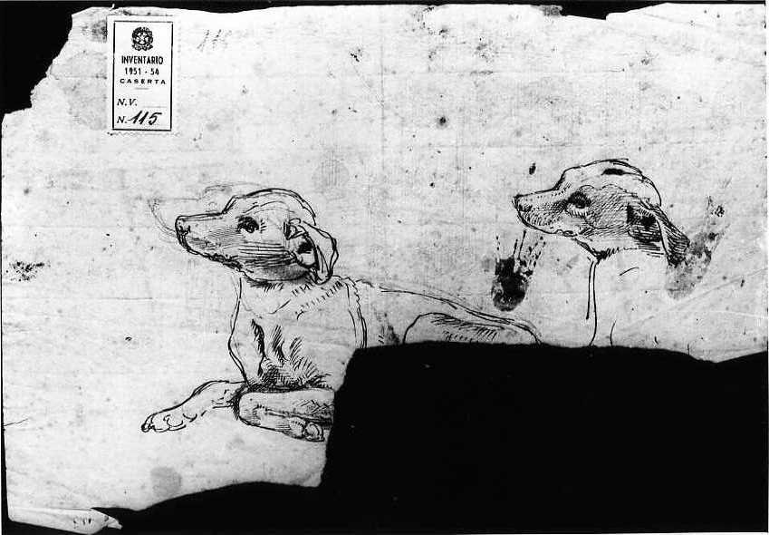 studio di cane (disegno) di Van Wittel Gaspar (sec. XVII)