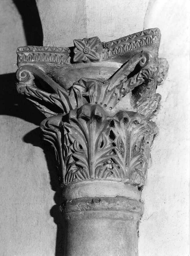 motivi decorativi a foglie d'acanto (capitello corinzio, serie) - bottega campana (secc. XII/ XIII)