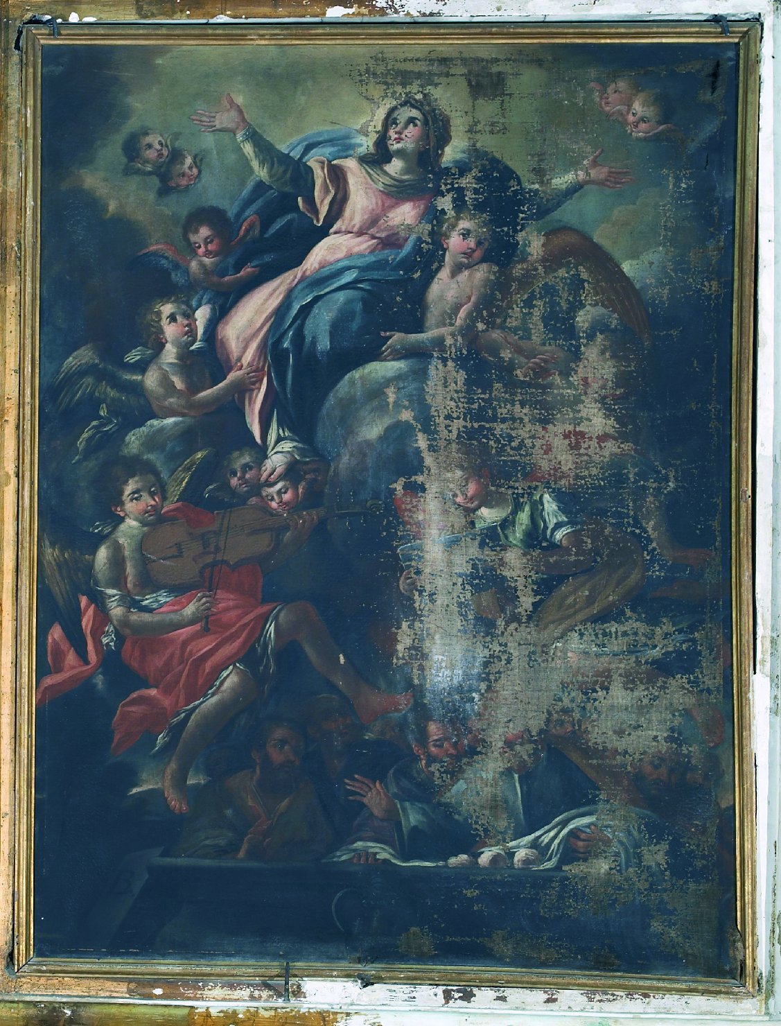 Madonna Assunta con angeli (dipinto, opera isolata) - ambito campano (metà sec. XVIII)