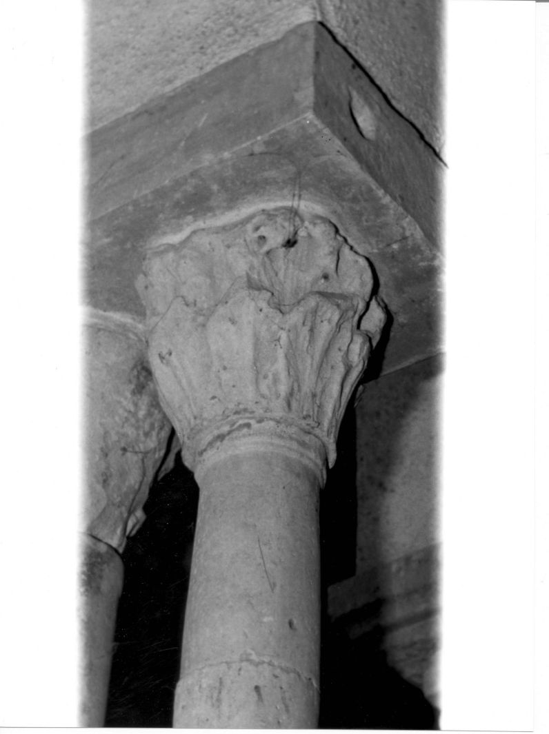 motivi decorativi vegetali (capitello di colonna, elemento d'insieme) - bottega campana (sec. XIII)