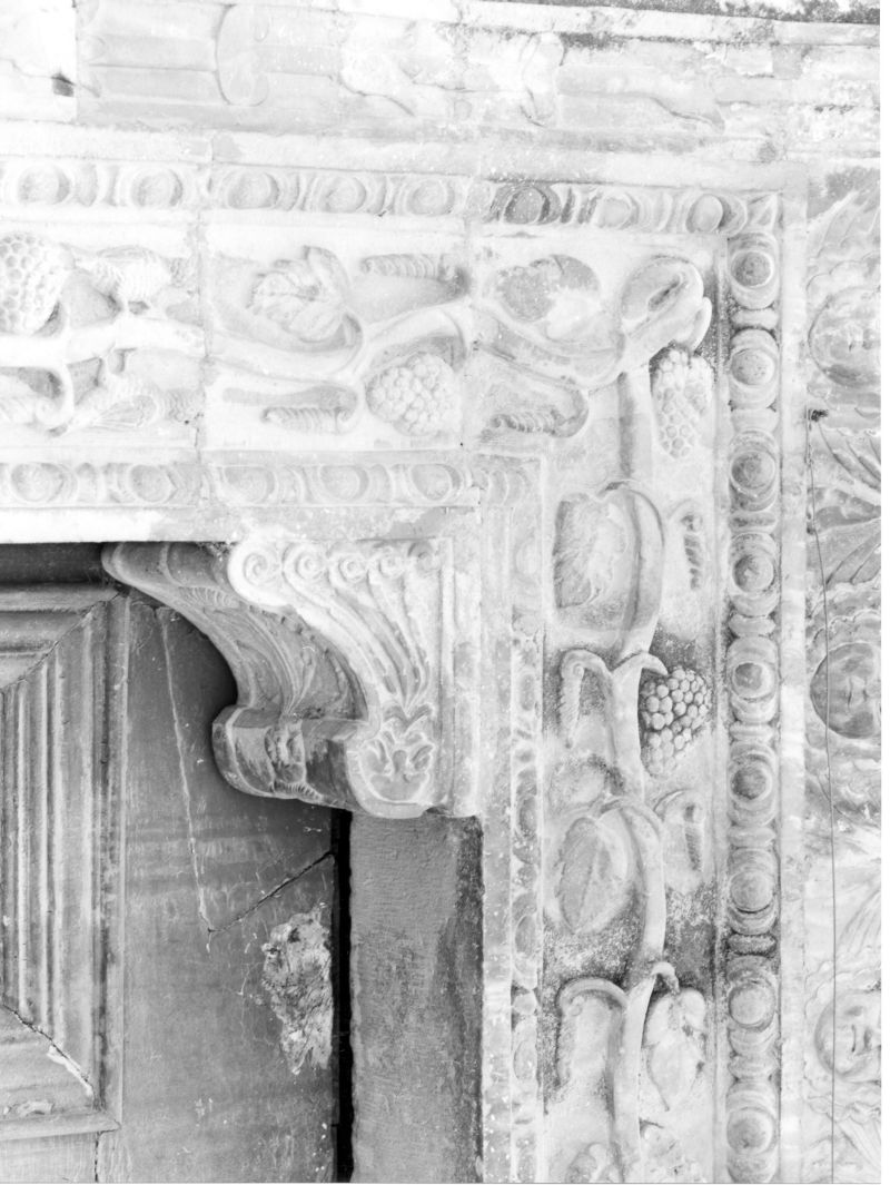 motivi decorativi vegetali (decorazione plastico-architettonica) di Caruso Antonio (attribuito) (sec. XVII)