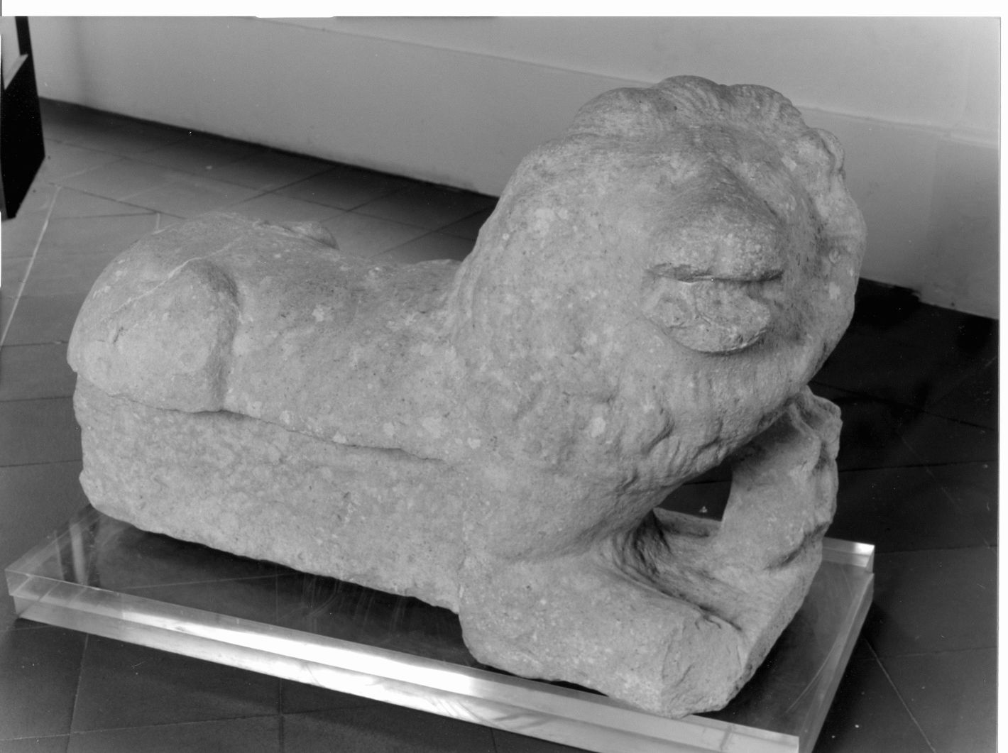 leone (scultura) - bottega campana (sec. XIV)