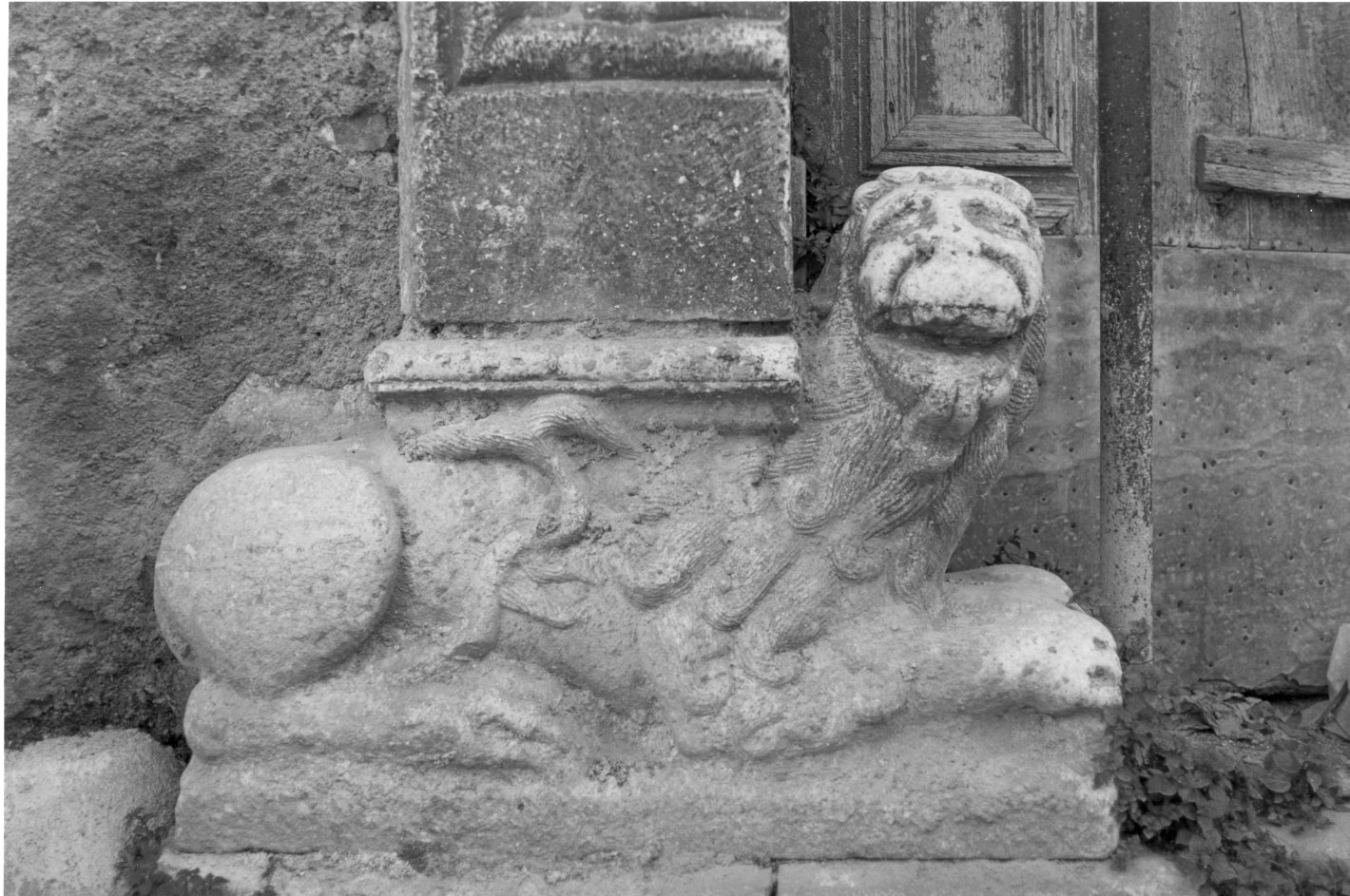 leone (scultura, serie) - bottega campana (sec. XVI)