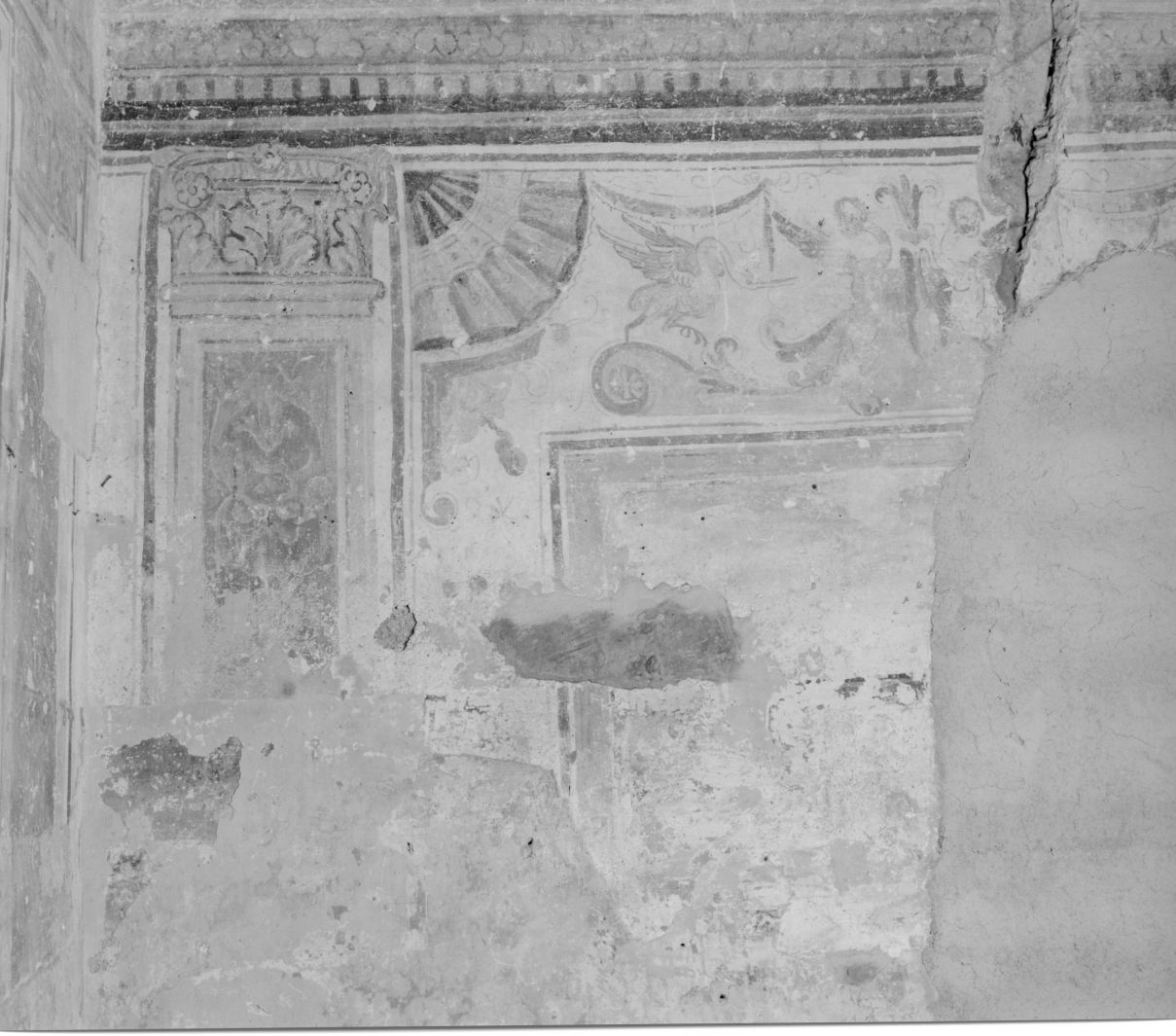 motivi decorativi a grottesche (decorazione pittorica, elemento d'insieme) - ambito campano (secc. XVI/ XVII)
