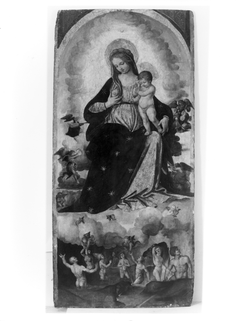 Madonna con personaggi che implorano il suo aiuto (dipinto, elemento d'insieme) di Sabatini Andrea detto Andrea da Salerno (attribuito) (sec. XVI)