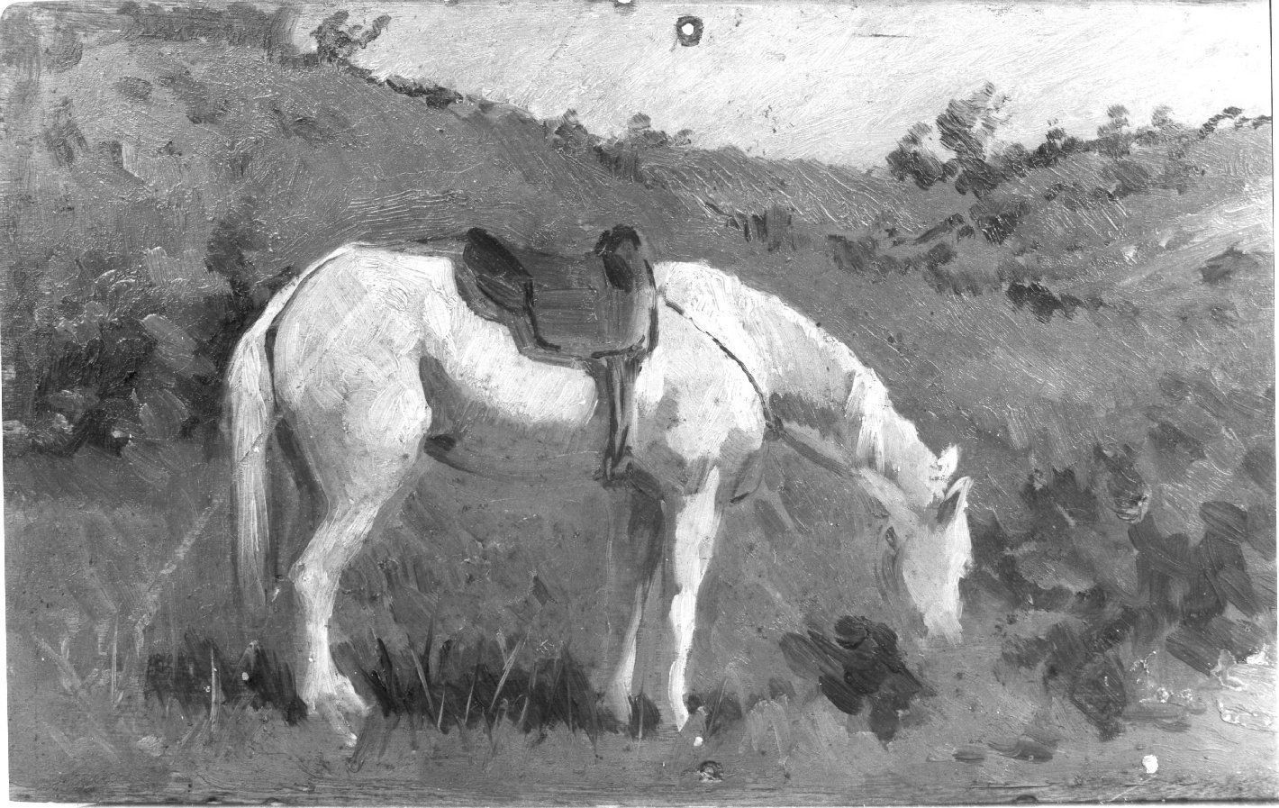 cavallo (dipinto, opera isolata) di Lenzi Michele (attribuito) (seconda metà sec. XIX)