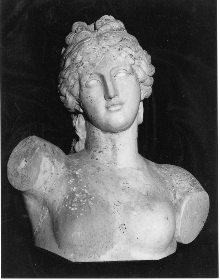 figura femminile (busto, opera isolata) - bottega Italia centro-meridionale (fine/inizio secc. XIX/ XX)