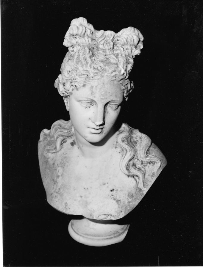 Venere (busto, opera isolata) - bottega Italia centro-meridionale (prima metà sec. XX)