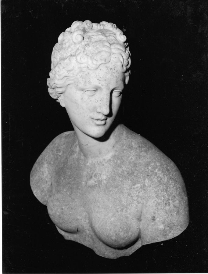 Venere (busto, opera isolata) - bottega Italia centro-meridionale (prima metà sec. XIX)