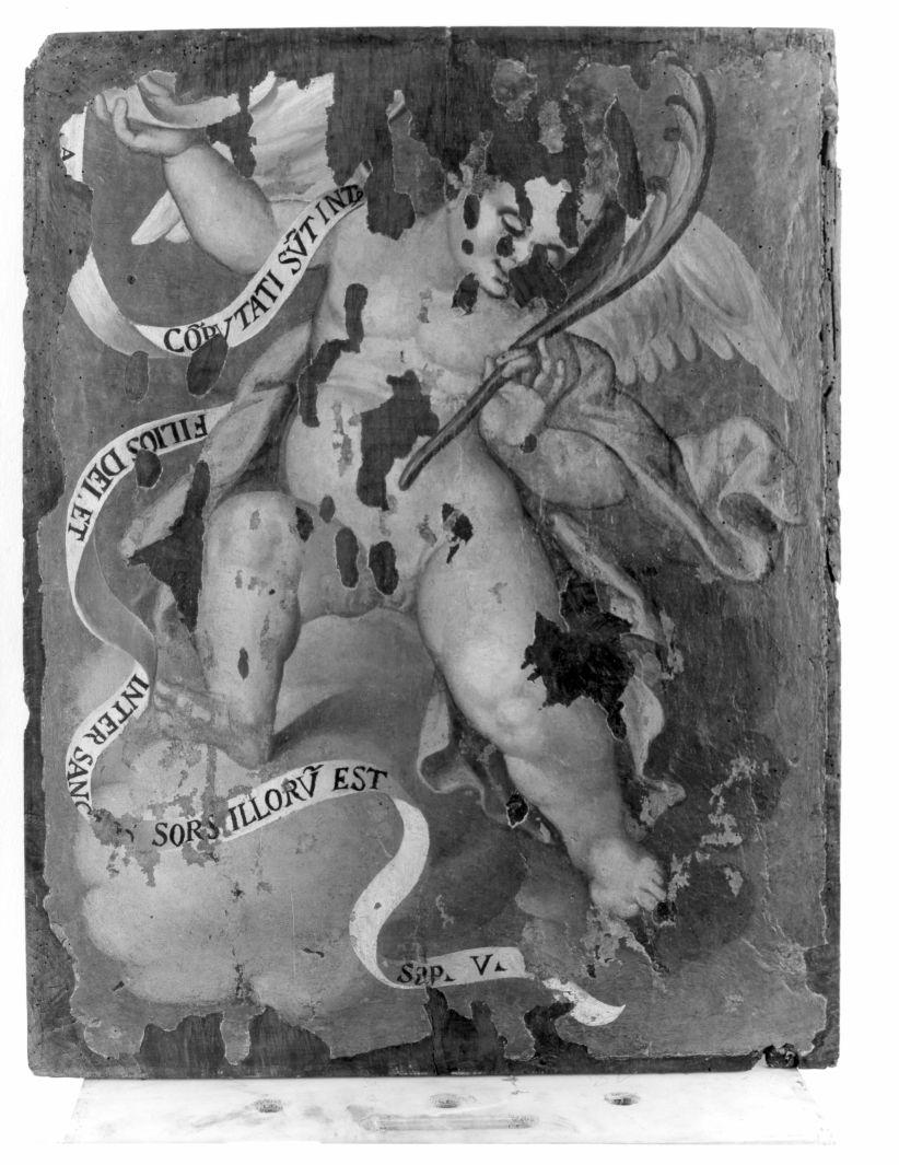 angelo con palma (dipinto) - ambito napoletano (seconda metà sec. XVI)