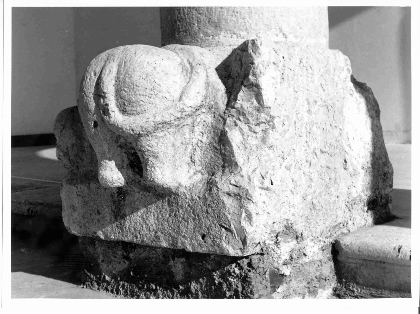 leone (scultura) - bottega campana (sec. XIV)