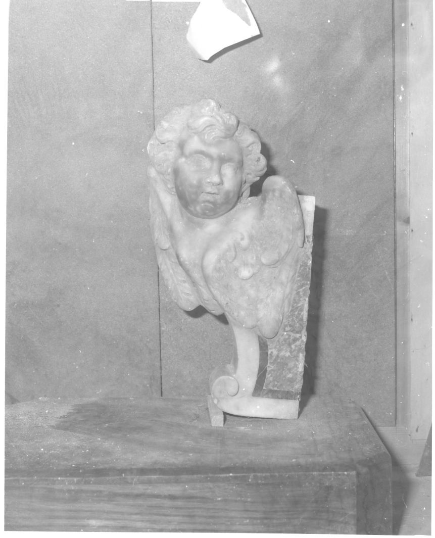 putto alato (scultura) - bottega Italia meridionale (primo quarto sec. XVIII)