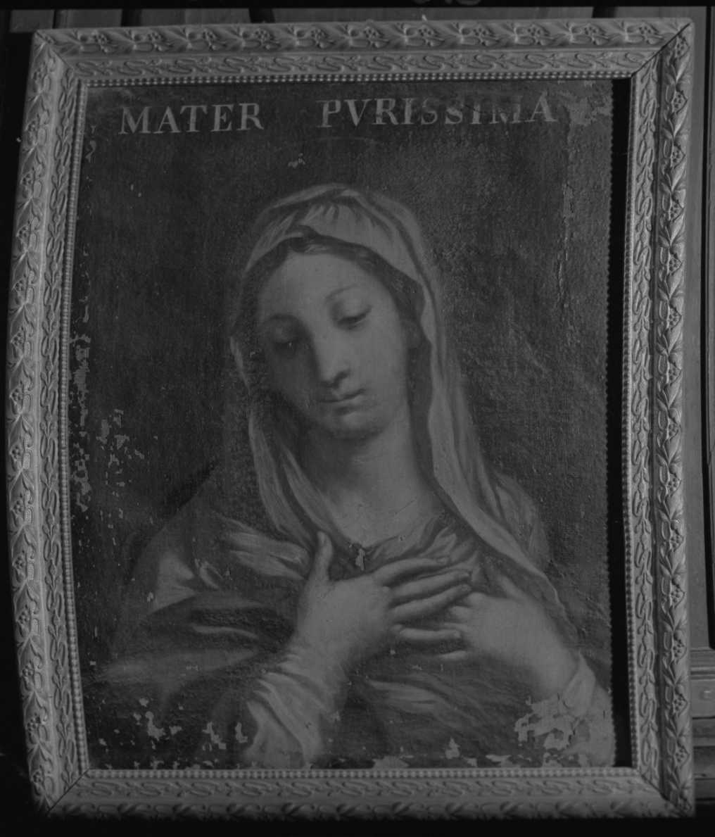 Madonna (a mezzobusto), Madonna (dipinto) - ambito romagnolo (seconda metà sec. XVII)