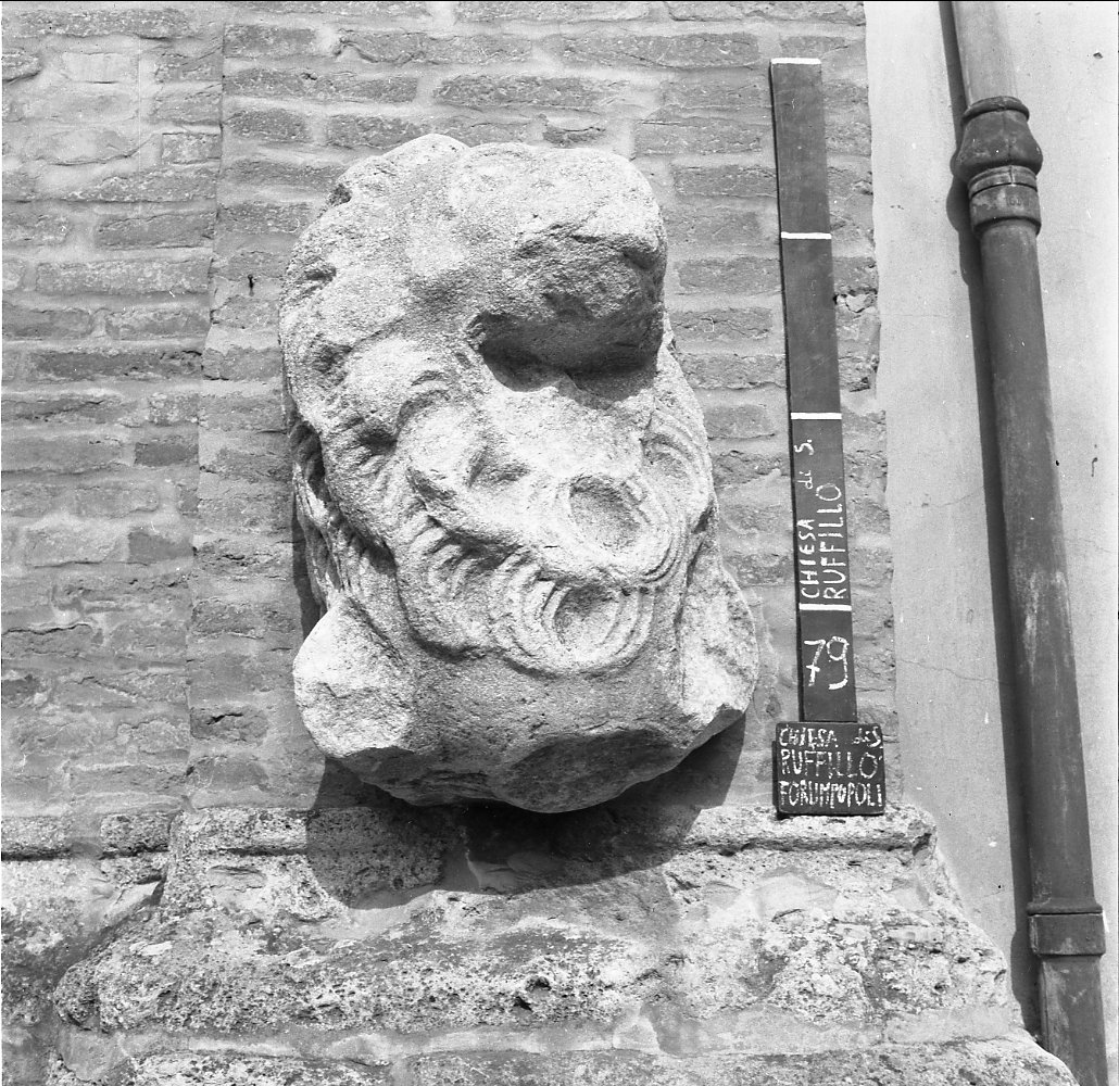 leone (statua, frammento) - bottega Italia centro-settentrionale (secc. XI/ XIV)