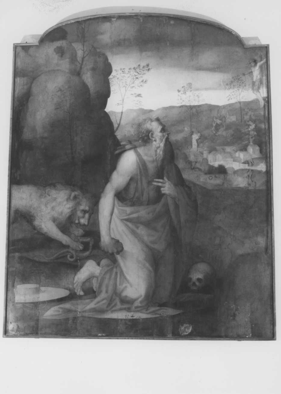 San Girolamo nel deserto (dipinto) - ambito emiliano (metà sec. XVI)