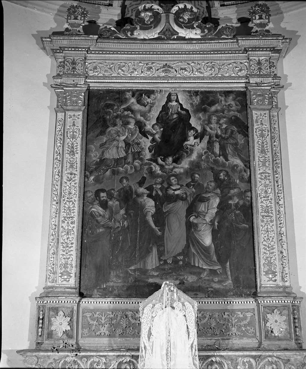 assunzione della Madonna (pala d'altare) di Ponteghini Giulio detto Ponteghini (sec. XVI)