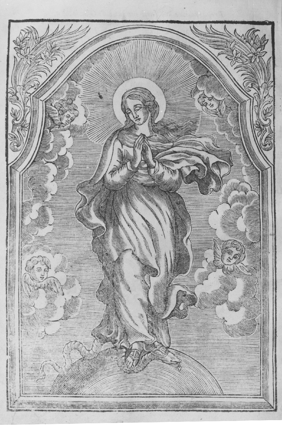Madonna Immacolata (decorazione a incisione, elemento d'insieme) di Rinaldi Giuseppe (sec. XVIII)