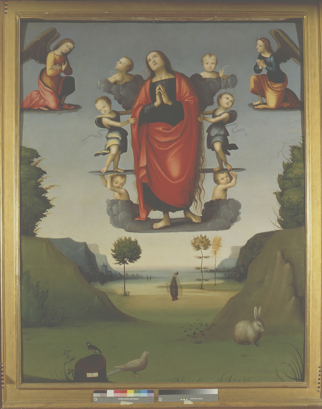 Santa Maria Maddalena portata in cielo dagli angeli (dipinto) di Maestro della Maddalena Assunta (sec. XVI)