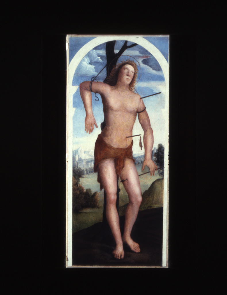 San Sebastiano (dipinto, elemento d'insieme) di De Martinazzi Simone (sec. XVI)