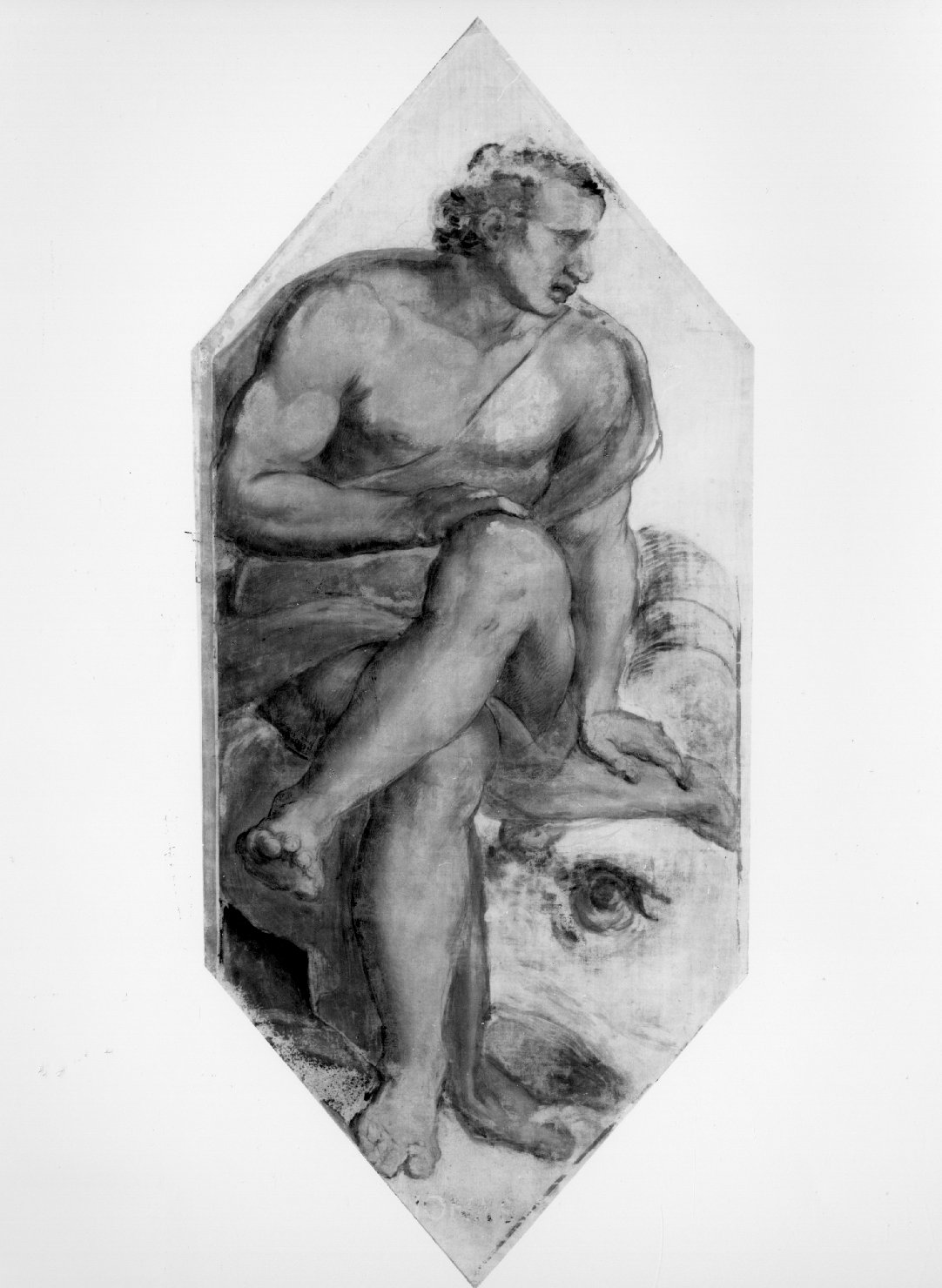 Giona (dipinto, elemento d'insieme) di Filippi Sebastiano detto Bastianino (sec. XVI)