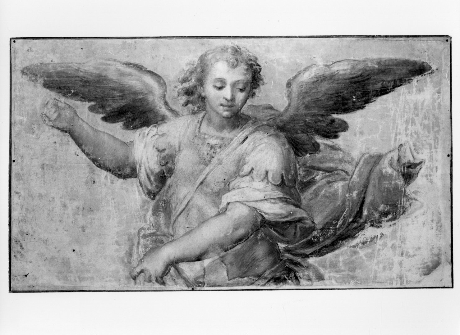 San Michele Arcangelo (dipinto, elemento d'insieme) di Filippi Sebastiano detto Bastianino (sec. XVI)