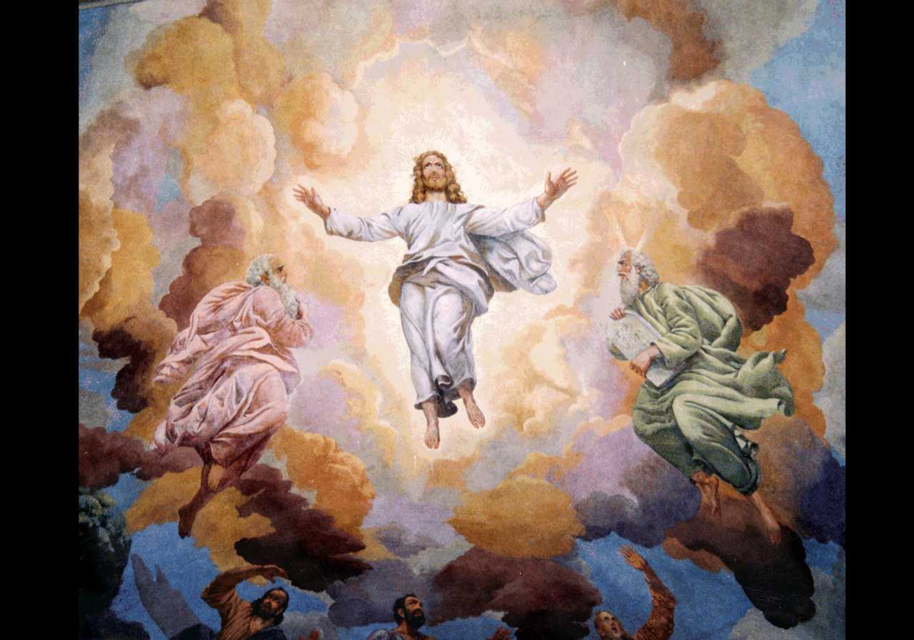 Trasfigurazione (dipinto) di Govi Anselmo (sec. XX)