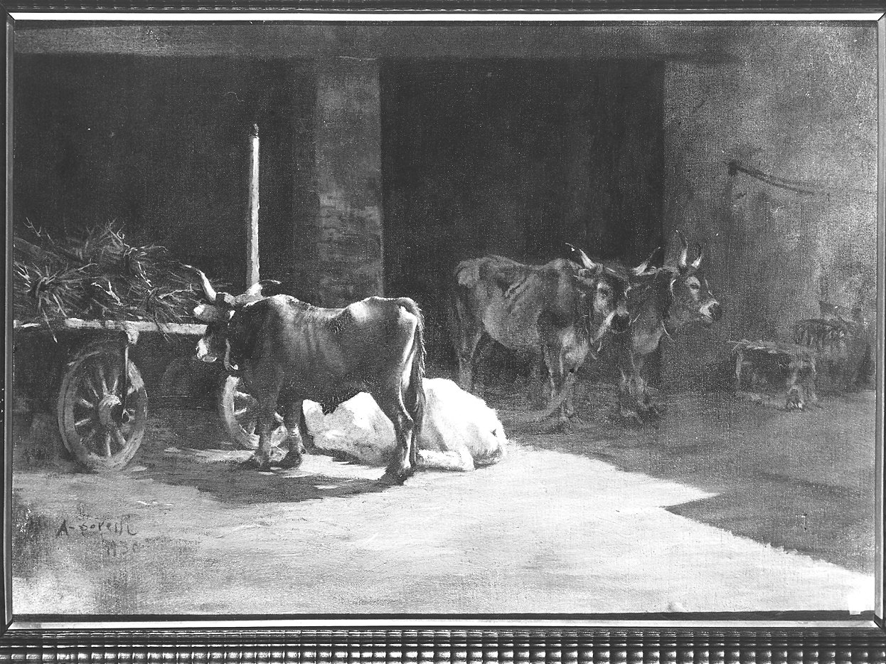 quattro buoi nel cortile (dipinto) di Soressi Alfredo (sec. XX)
