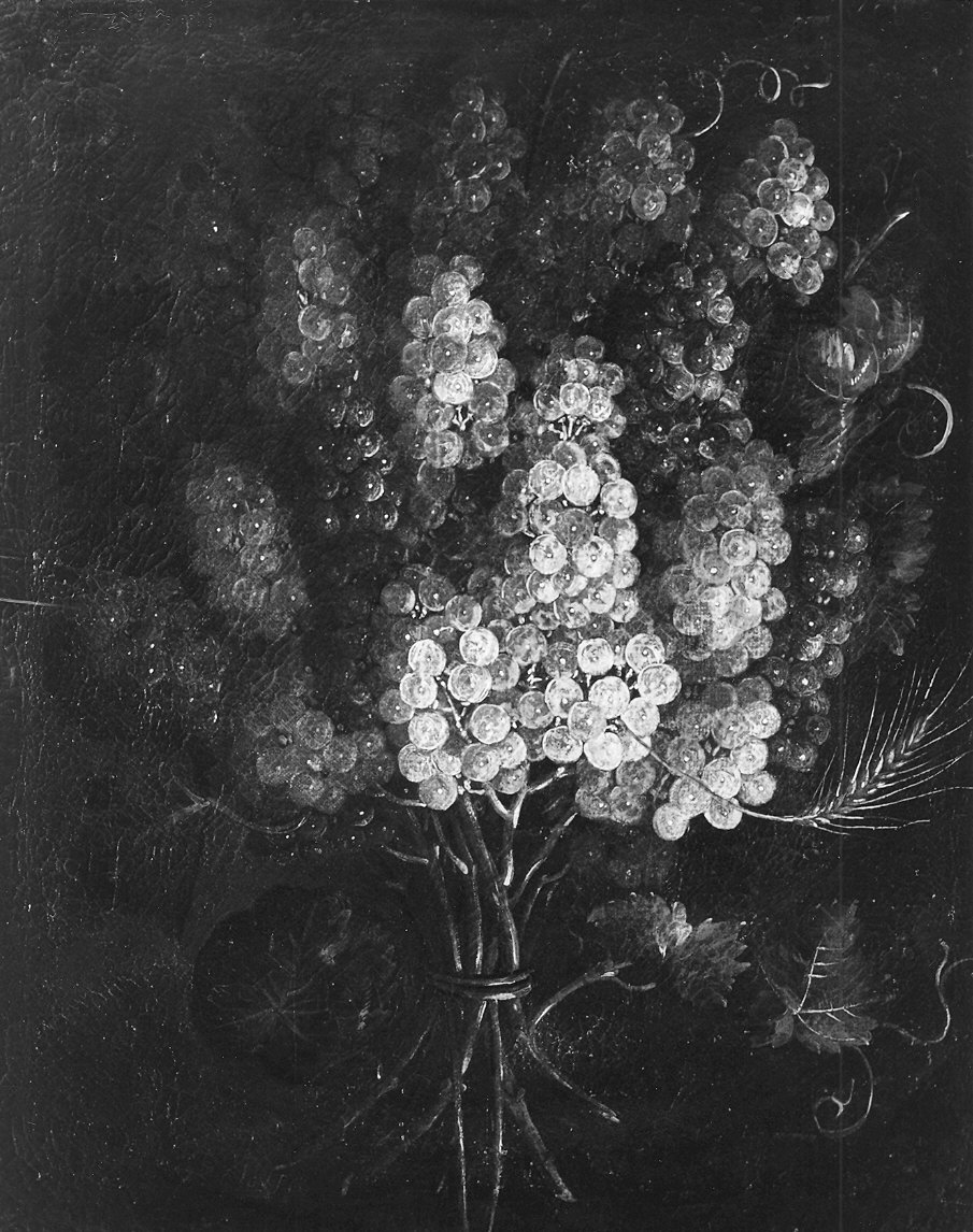 grappoli d'uva e spiga di grano (dipinto) di Gianlisi Antonio il Giovane (attribuito) (prima metà sec. XVIII)