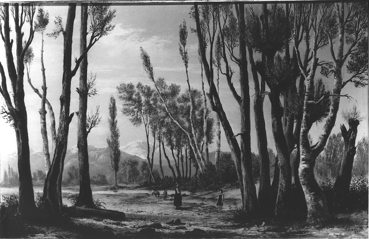 paesaggio con alberi (dipinto) di Silvani Mentore (sec. XIX)