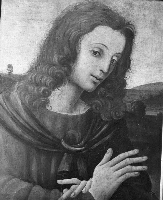 San Giovanni Apostolo (dipinto) - ambito emiliano (inizio sec. XVI)